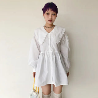 Seller Long Sleeve Mini Dress