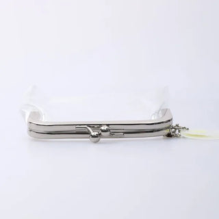 Clear clasp pouch