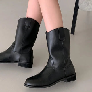 Suede mid-calf boots (2 colors)