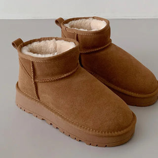 Cowhide mini suede boots (1 color)