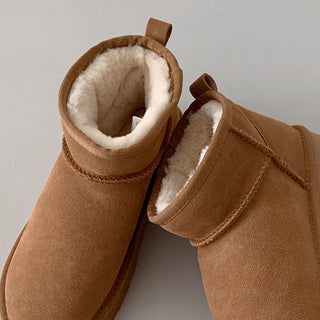 Cowhide mini suede boots (1 color)