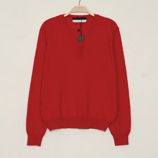 Cashmere V-neck knit