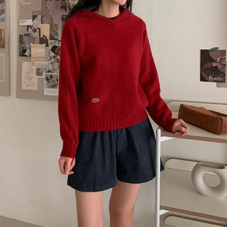 Patchwork Hooded Knit