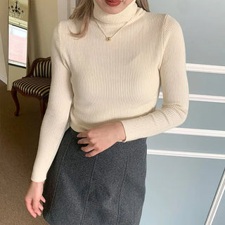 Ribbed turtleneck knit