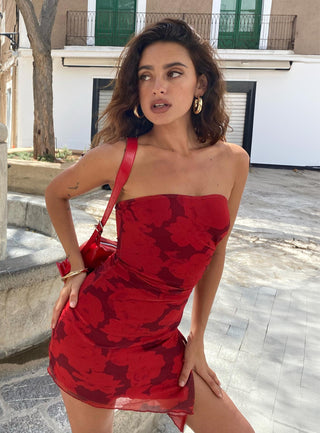 Donelli Mini Dress Burgundy  Red Floral