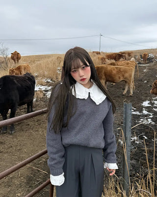 Big collar frill blouse