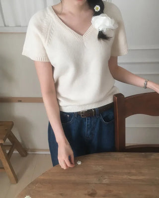 [] Slimming V-neck raglan short-sleeved knit top