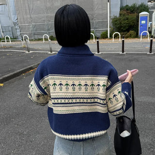 Patterned Half-Zip Knit Sweater