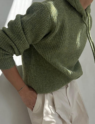Land Knit Hoodie (good color)