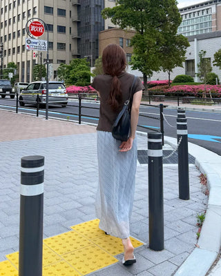 Checked sheer long skirt