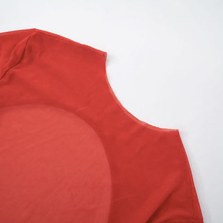 Long sleeve mesh cross back button mini dress