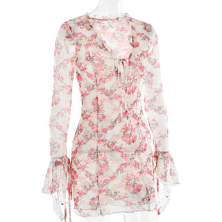Long sleeve v neck flower print mesh mini dress