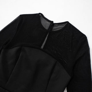 Long sleeve mesh patchwork button mini dress