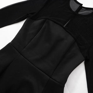 Long sleeve mesh patchwork button mini dress