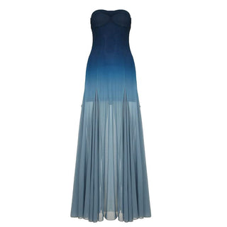 Gradient mesh tube maxi dress