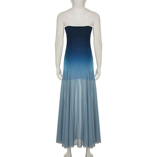 Gradient mesh tube maxi dress