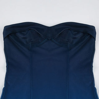 Gradient mesh tube maxi dress