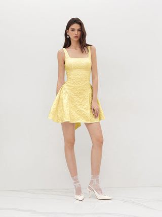 Jacquard U-neckline Floral Backless Bowknot Mini Dress