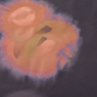 Long sleeve lace hem print v neck mini dress