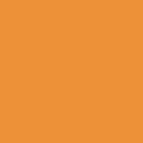 PUMPKIN PILLOWCASE
