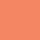 PUMPKIN HAIR CLAW
