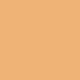 PUMPKIN HAIR CLAW