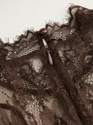 Lace Round Neckline A-line Mini Dress