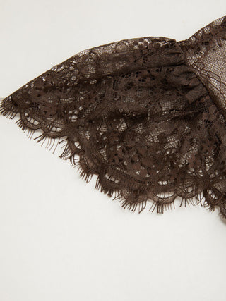 Lace Round Neckline A-line Mini Dress