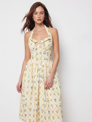 Cotton-blend Sculptural Ditsy Floral Halter Neckline Knotted A-line Maxi Dress