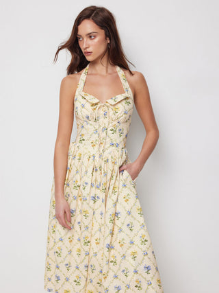 Cotton-blend Sculptural Ditsy Floral Halter Neckline Knotted A-line Maxi Dress