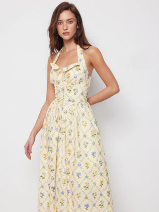 Cotton-blend Sculptural Ditsy Floral Halter Neckline Knotted A-line Maxi Dress