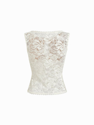 Lace Sheer Boat Neck Top