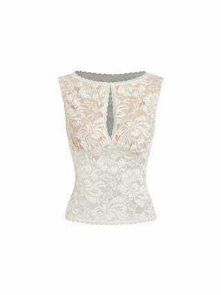 Lace Sheer Boat Neck Top