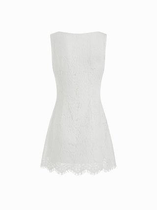 Lace V-neck Contrast Binding Bowknot A-line Mini Dress