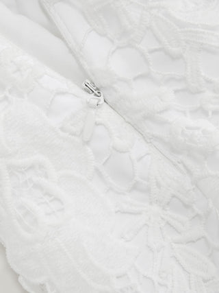 Lace Strapless Bowknot Flared Mini dress