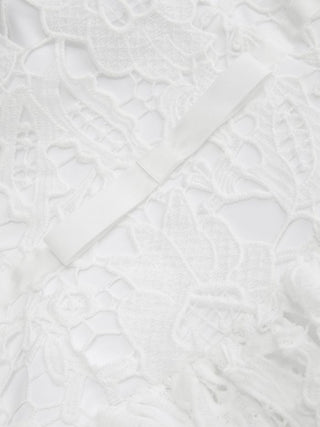 Lace Strapless Bowknot Flared Mini dress