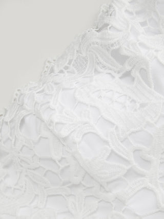 Lace Strapless Bowknot Flared Mini dress