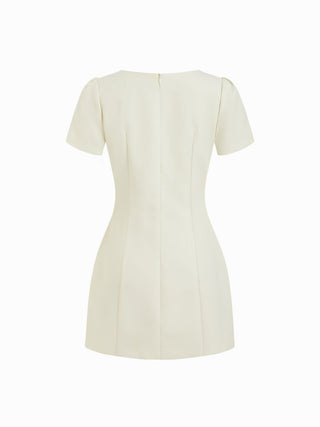 Round Neckline Puff Sleeve Mini Straight Dress