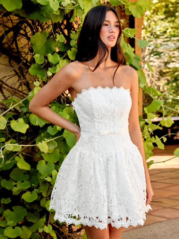 Lace Strapless Bowknot Flared Mini dress