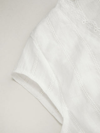 Textured V-neck Short Sleeve Lace Trim Pearl Button Blouse