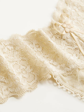 Lace Lace Mid Rise Floral See-through Panty For Home Bedroom