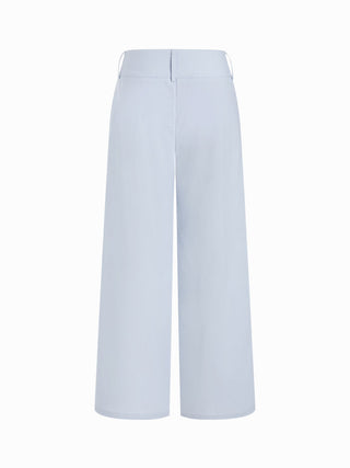 Woven Linen-blend Low Rise Pleated Wide Leg Trousers For Daily Casual Work