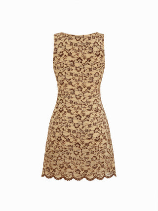 Flocking Lace V-neck A-line Mini Dress