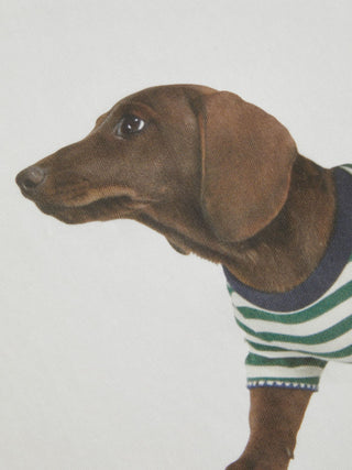 Cotton-blend Dachshund Graphic Asymmetrical Neck Oversized Tee