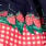 Gingham Fruit Print Knotted Crisscross Back Mini Dress
