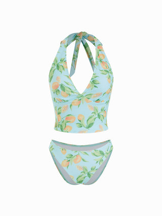 Knit Fabric Halter Neckline Fruit Graphic Tankini Low Rise Cheeky Bikini Set For Vacation Swimming Pool Beach