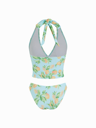 Knit Fabric Halter Neckline Fruit Graphic Tankini Low Rise Cheeky Bikini Set For Vacation Swimming Pool Beach
