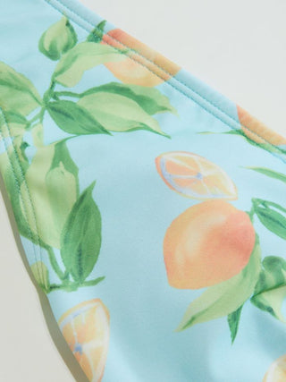 Knit Fabric Halter Neckline Fruit Graphic Tankini Low Rise Cheeky Bikini Set For Vacation Swimming Pool Beach