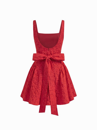 Jacquard U-neckline Floral Backless Bowknot Mini Dress