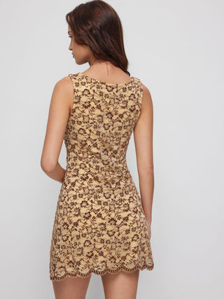 Flocking Lace V-neck A-line Mini Dress